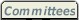 ECCOMAS Committees